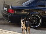 BMW 728-13