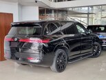 Denza N9-13