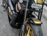 Harley-Davidson Sportster S-11