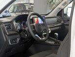 GWM (Great Wall Motor) Poer-7
