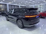 Denza N9-7