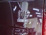 BYD Leopard 5-6