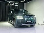 Denza N9-1