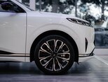 DongFeng YiPai 008-7