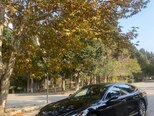 Lexus LS 350-13