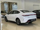 BYD Destroyer 05-11