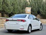 Toyota Corolla-8