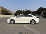Toyota Corolla-8