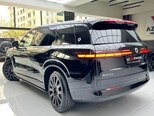 Denza N9-9