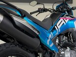 CFMOTO CF Lite 230 Dual-4