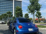Volkswagen Beetle-2