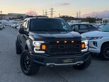Ford F-150-1