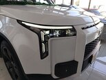 ROX (Polar Stone) 01-7