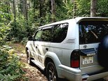 Toyota Land Cruiser Prado-2