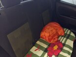Ford Fiesta-3