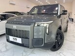 ROX (Polar Stone) 01-1