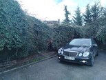 Mercedes E 220-16