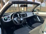 Volkswagen Beetle-8