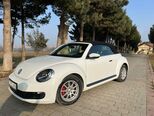 Volkswagen Beetle-11
