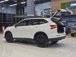 Haval H6-4
