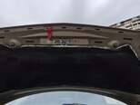 Mercedes Viano-14