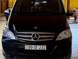 Mercedes Viano-1
