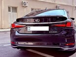 Lexus ES 300h-5