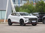 Changan Oshan X5 Plus-4