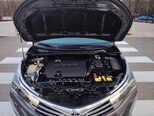 Toyota Corolla-14