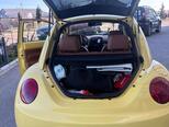 Volkswagen Beetle-12