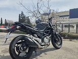 Suzuki SFV 650 Gladius-5