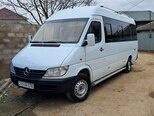 Mercedes Sprinter 313-1