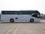 Golden Dragon TRİUMPH-5