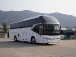 Golden Dragon TRİUMPH-3