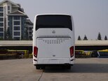 Golden Dragon TRİUMPH-2