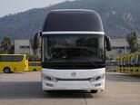 Golden Dragon TRİUMPH-1