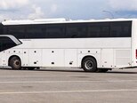 Golden Dragon TRİUMPH-7