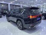 Lexus LX 500d-6