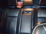 Mercedes E 240-6