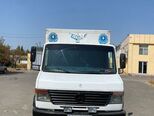 Mercedes Vario-1
