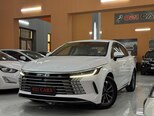 BYD Destroyer 05-13