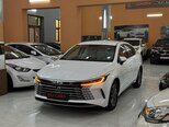 BYD Destroyer 05-17