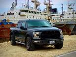 Ford F-150-9