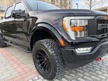 Ford F-150-8