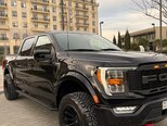 Ford F-150-12
