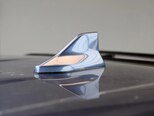 BYD Shark 6-14
