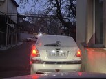 Kia Rio-8