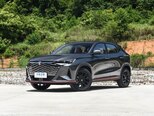 Changan Oshan X5 Plus-3