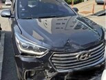 Hyundai Maxcruz-17
