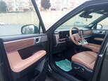 Hyundai Santa Fe-13
